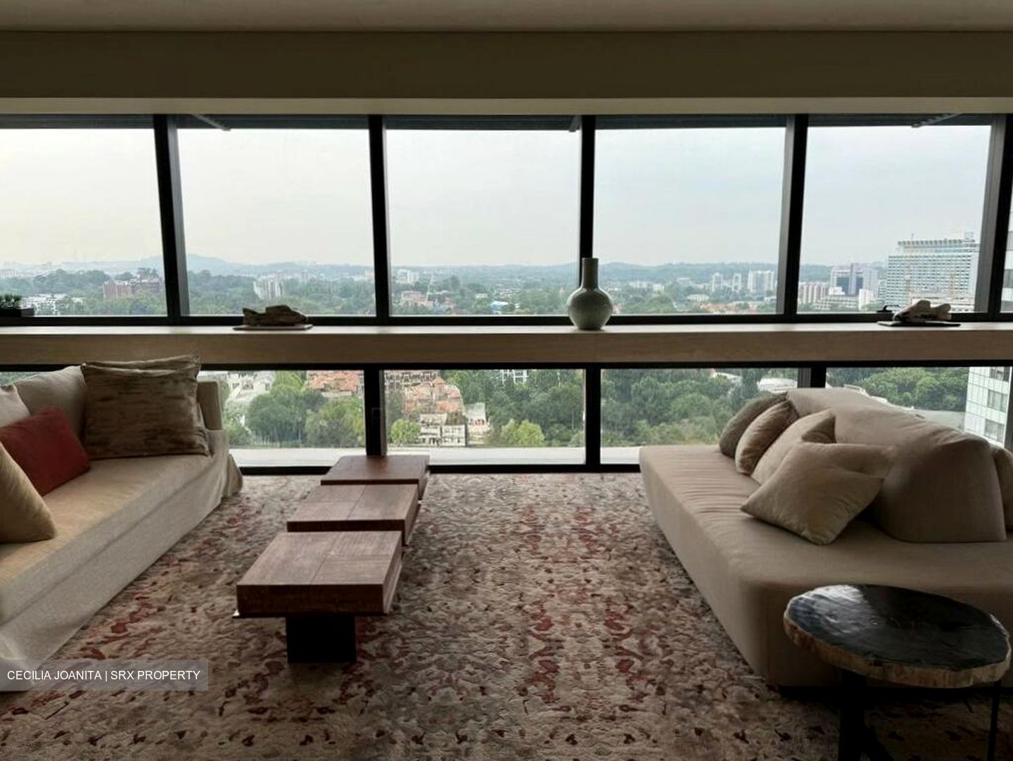 Hana (D10), Condominium #497346491